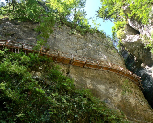 Bled Biking Trip: Pokljuska Soteska