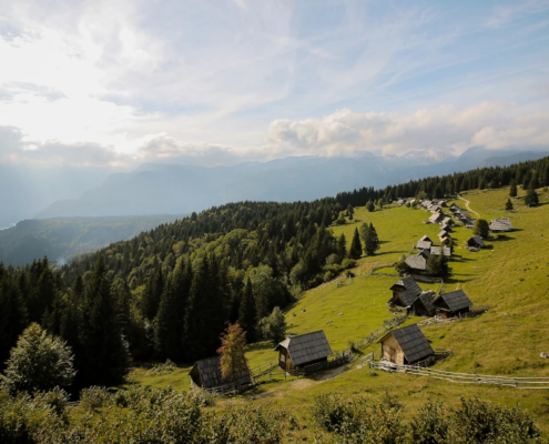 Pokljuka eBike Tour - Zajamniki Meadow