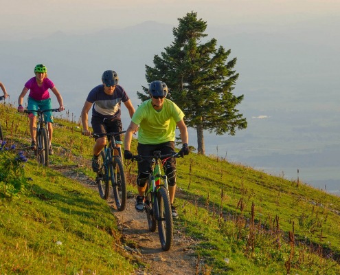 Mountain bike trails