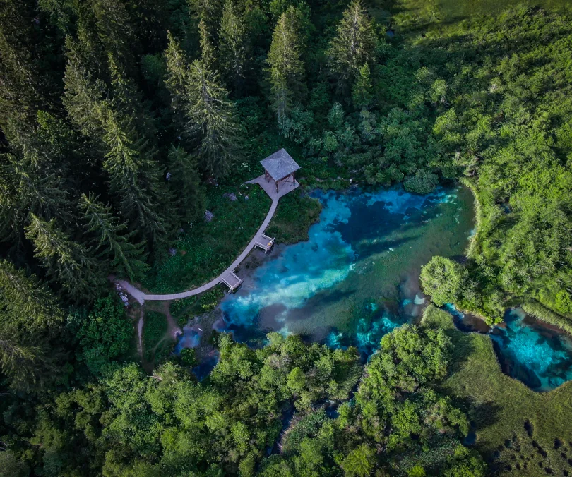 Triglav National Park: Aerial view of turquoise stream winding through dense green forest.