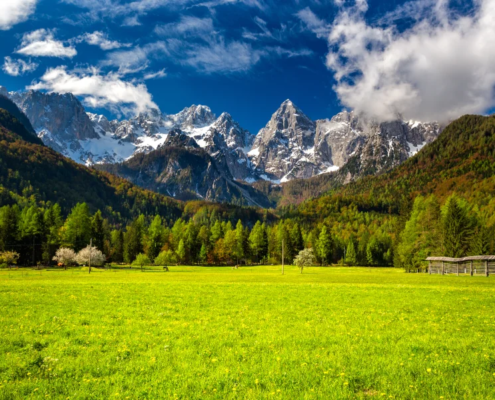Triglav National Park Tours: Open field with scenic mountain peaks and a blue sky with clouds.