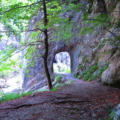 Forest trail leading to a stone tunnel entrance surrounded by green foliage and rocky cliffs.