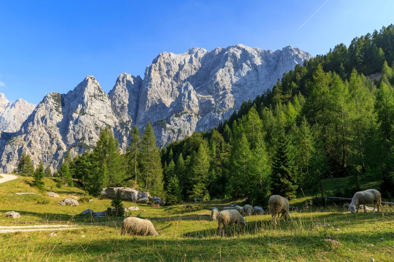 Julian Alps as seen from the Vršič Pass drive in Slovenia