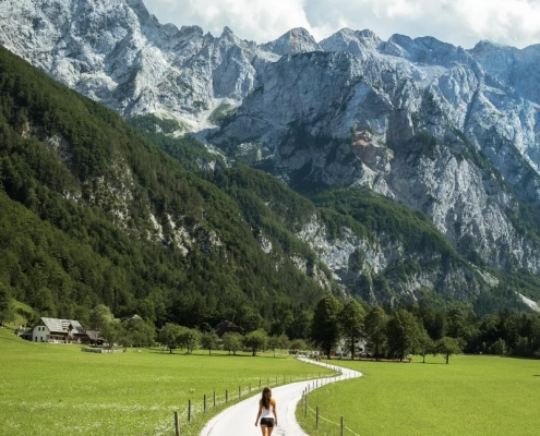 Scenic road through Logar Valley with alpine meadows and Kamnik–Savinja Alps in the background